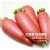 Q坊-健康蔬菜_紅蘿蔔創意造型手工饅頭