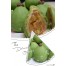 Q坊-中秋創意造型橙柚月餅(素食)