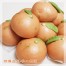 Q坊-水果柑橘-創意造型手工饅頭