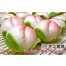 Q坊-水果壽桃造型手工饅頭